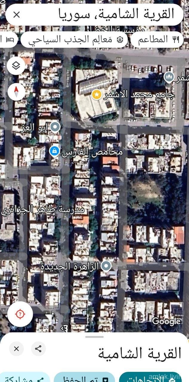 صورة 1