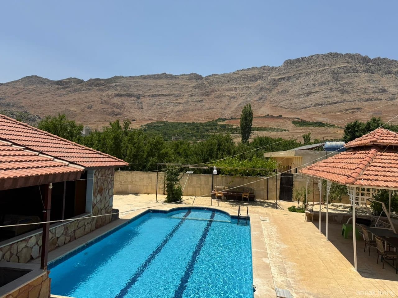 صورة 1