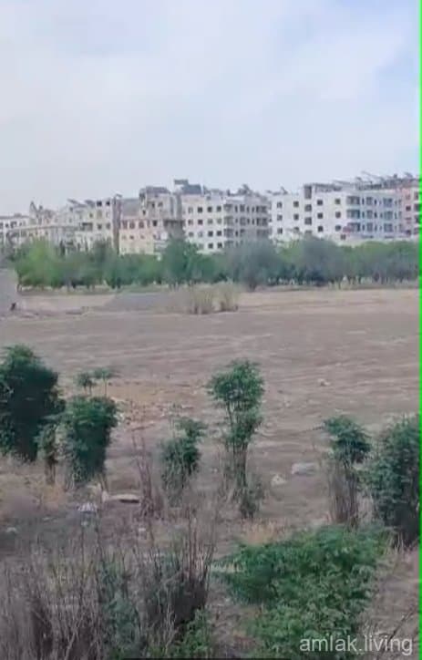صورة 1