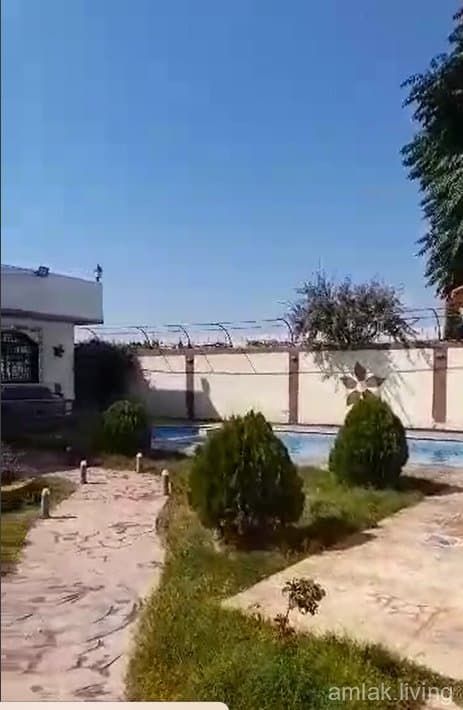 صورة 2