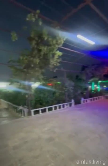 صورة 2