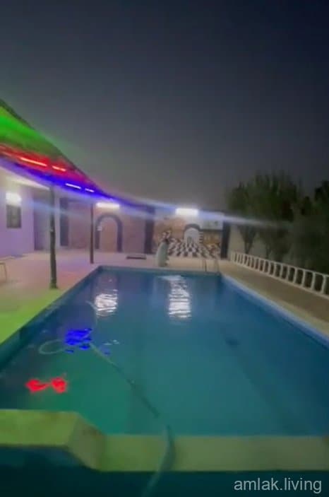 صورة 5