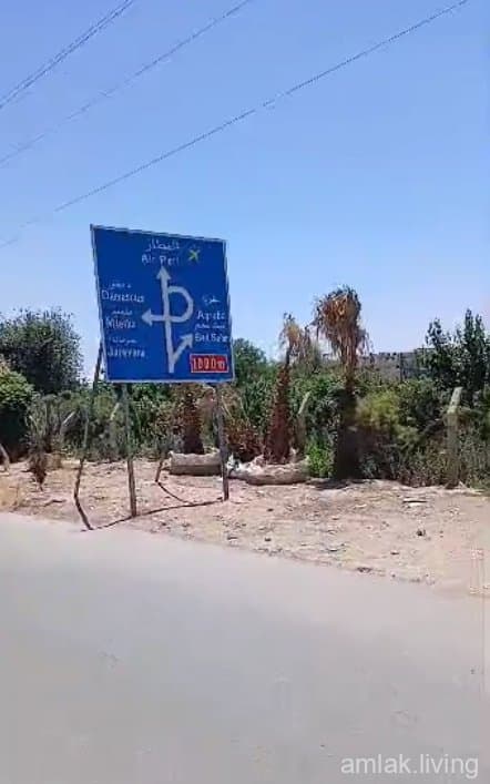 صورة 1