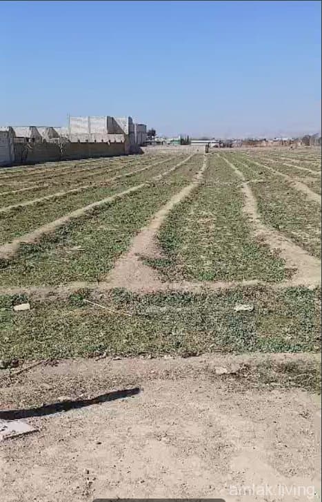 صورة 1