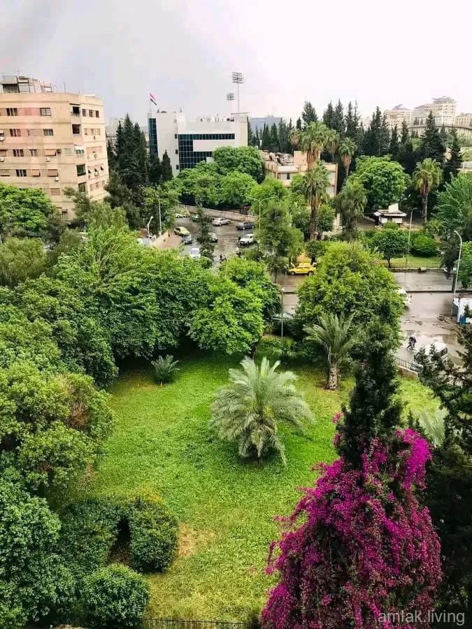 صورة 1