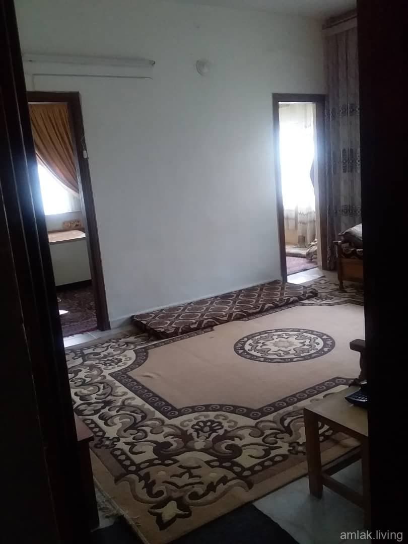 صورة 4