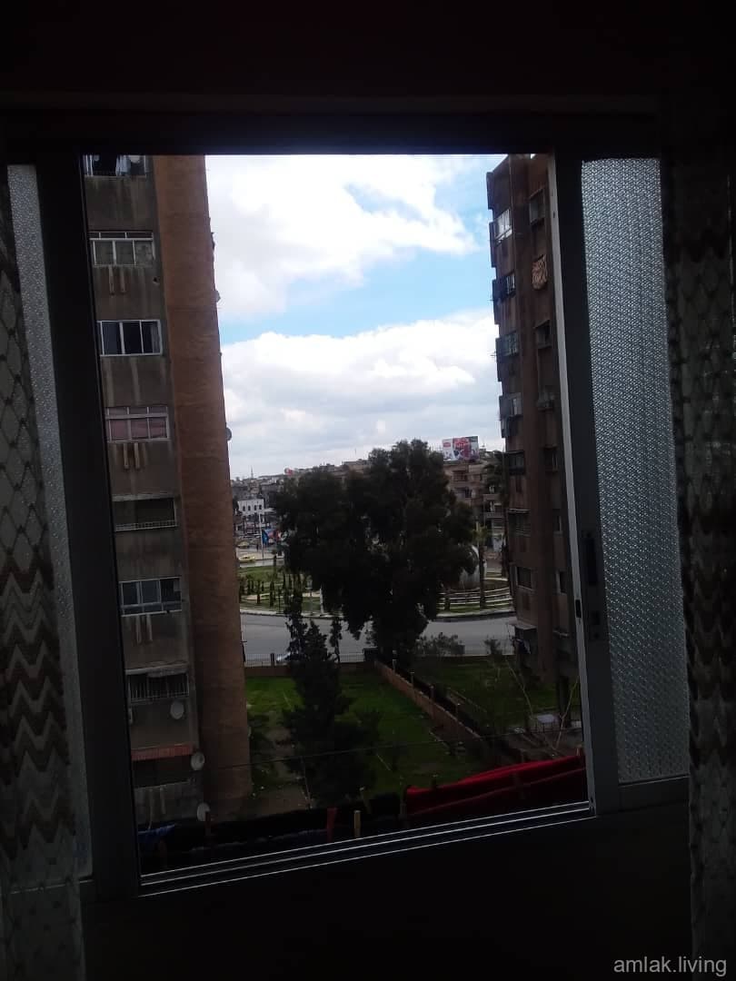 صورة 2