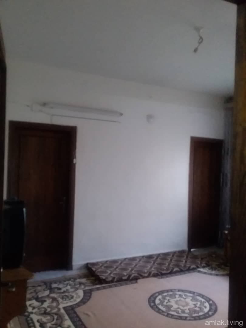 صورة 11