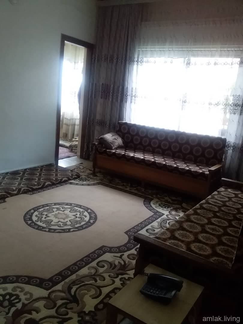 صورة 9