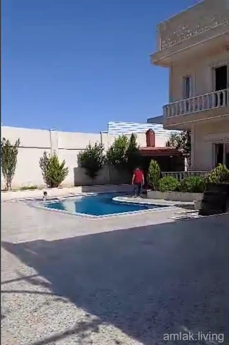 صورة 6