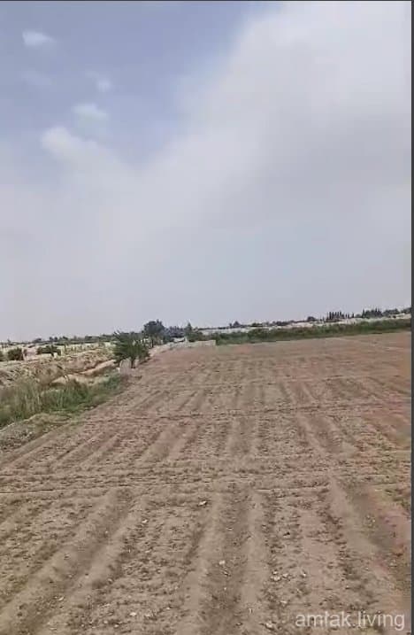 صورة 1