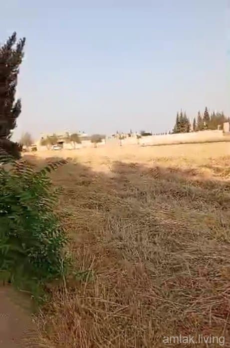صورة 1