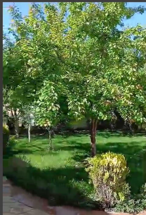 صورة 4