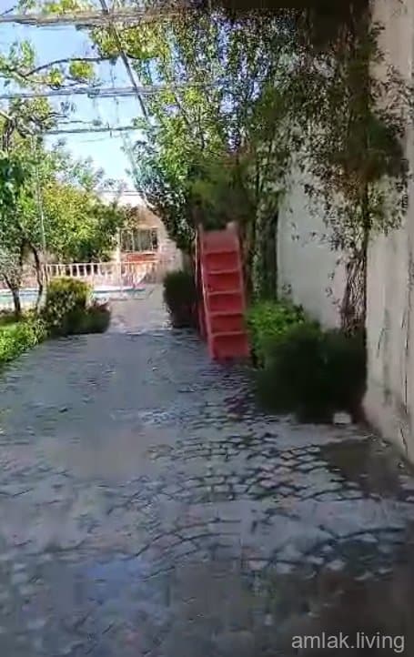 صورة 5