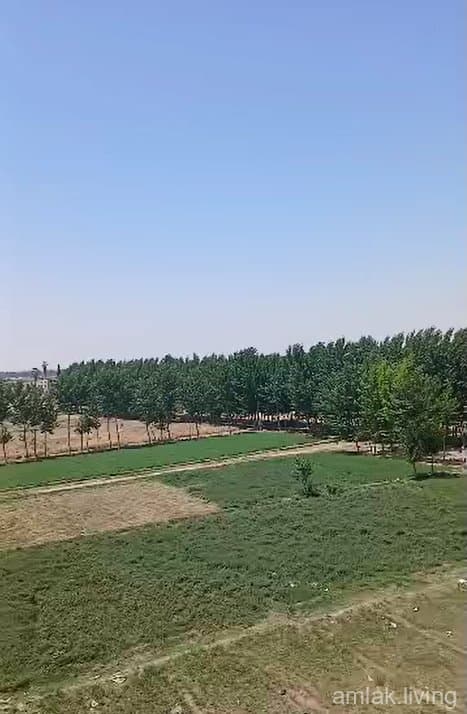 صورة 1