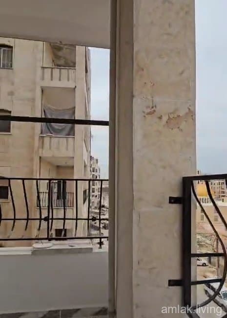صورة 3