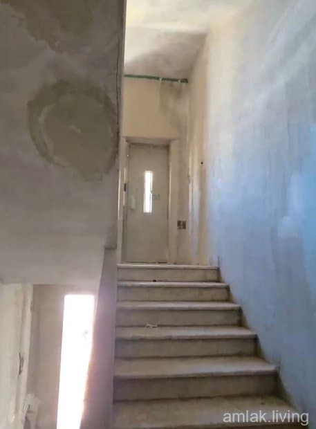 صورة 2