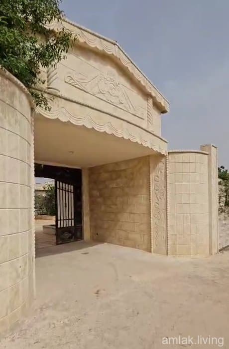 صورة 2