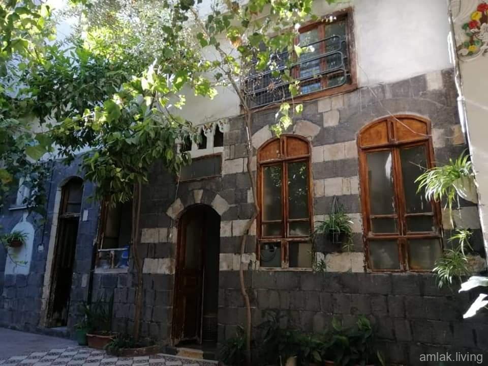 صورة 8