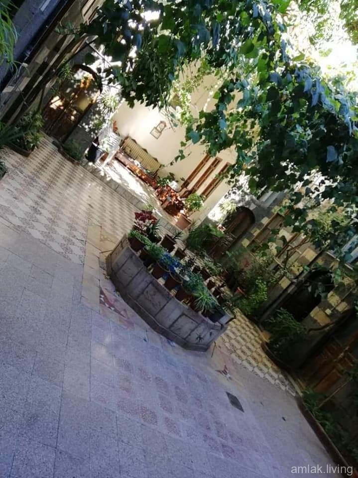 صورة 11