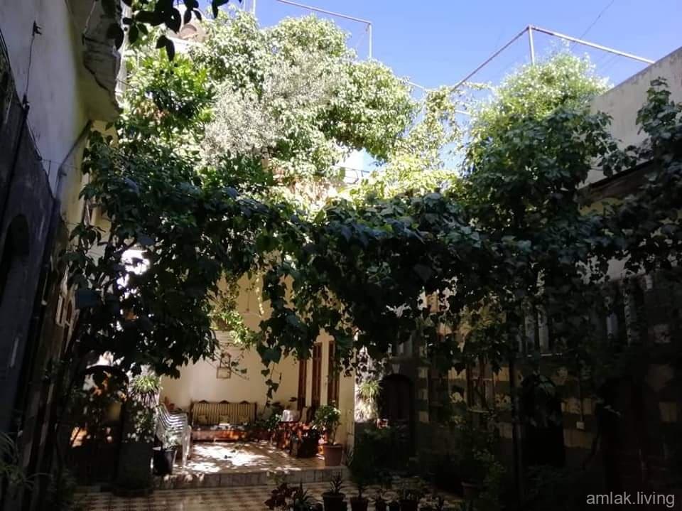 صورة 1