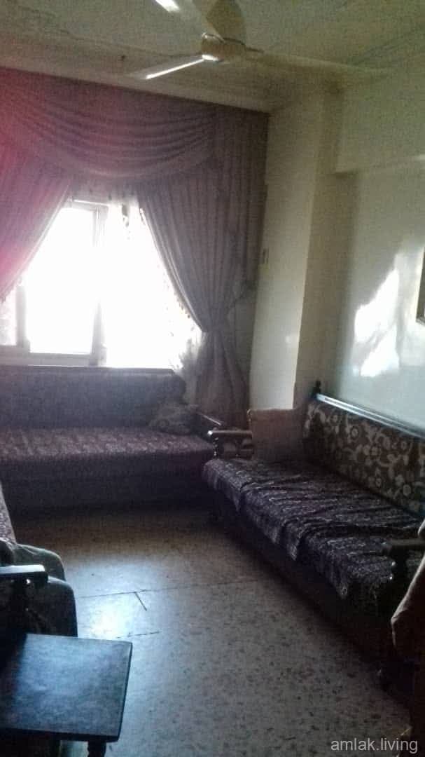 صورة 3