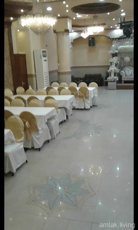صورة 4