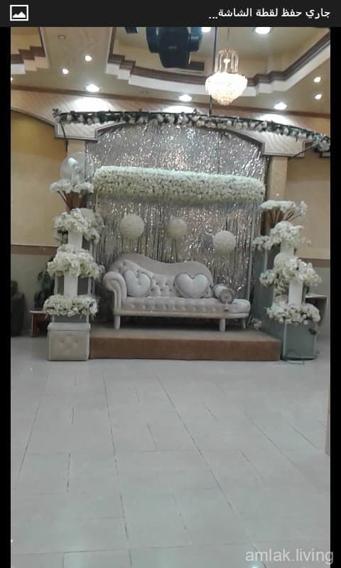 صورة 7