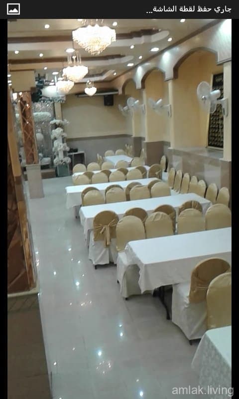 صورة 8