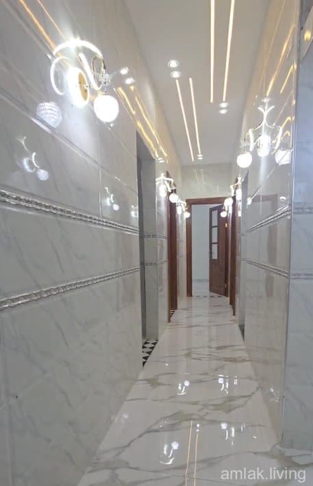 صورة 2