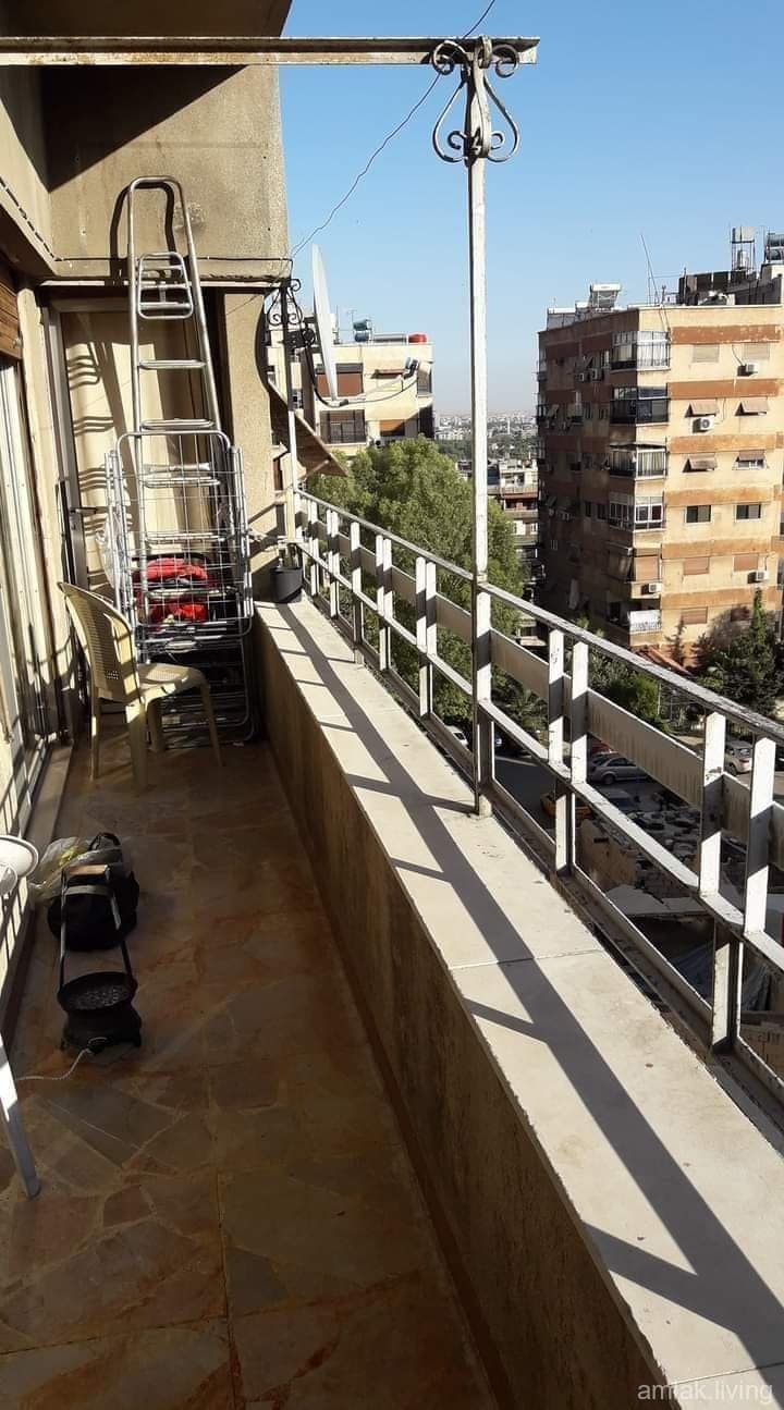 صورة 11