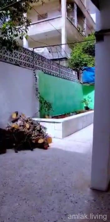 صورة 2