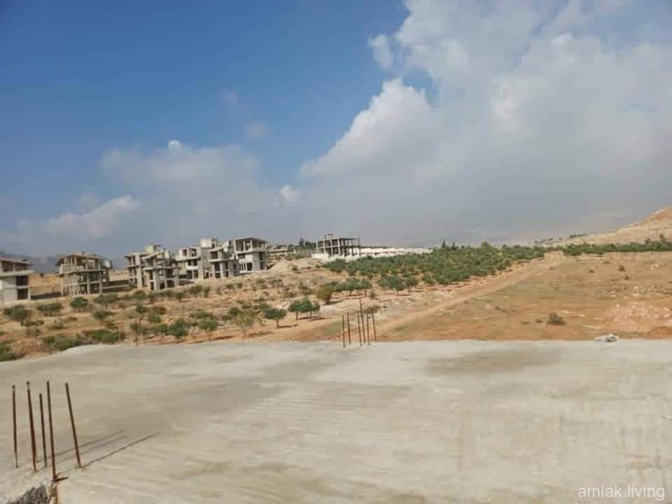 صورة 4