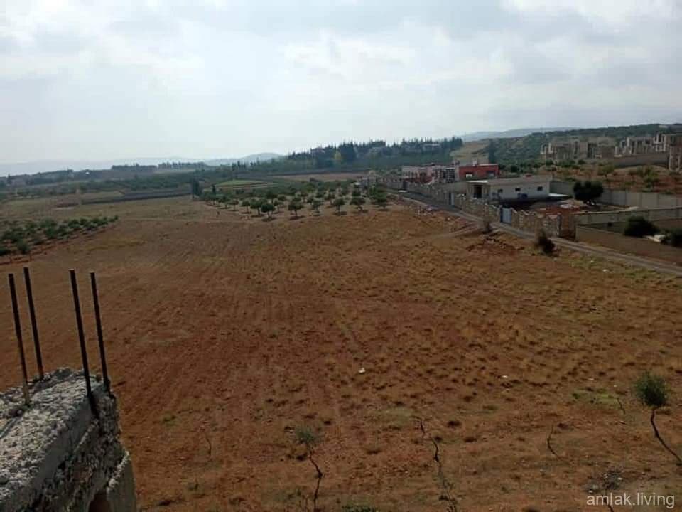 صورة 1