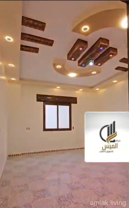 صورة 2