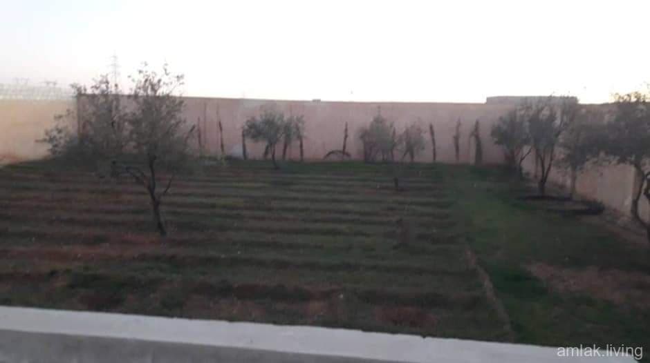 صورة 5