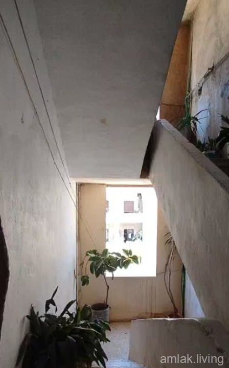 صورة 4