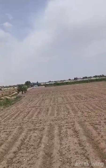 صورة 1