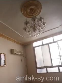 صورة 3