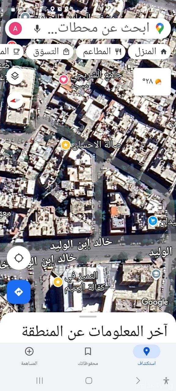صورة 13