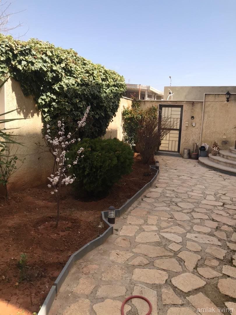 صورة 10