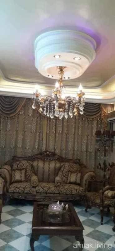 صورة 7
