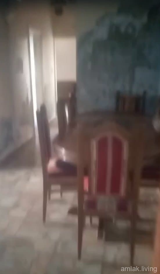 صورة 3