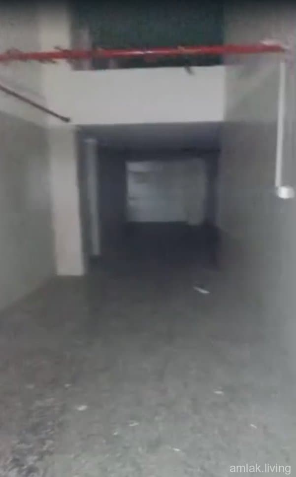 صورة 1