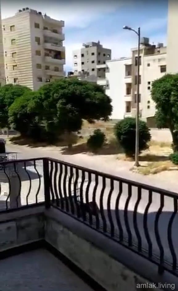 صورة 3