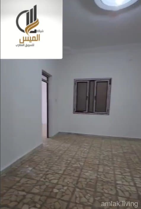 صورة 2