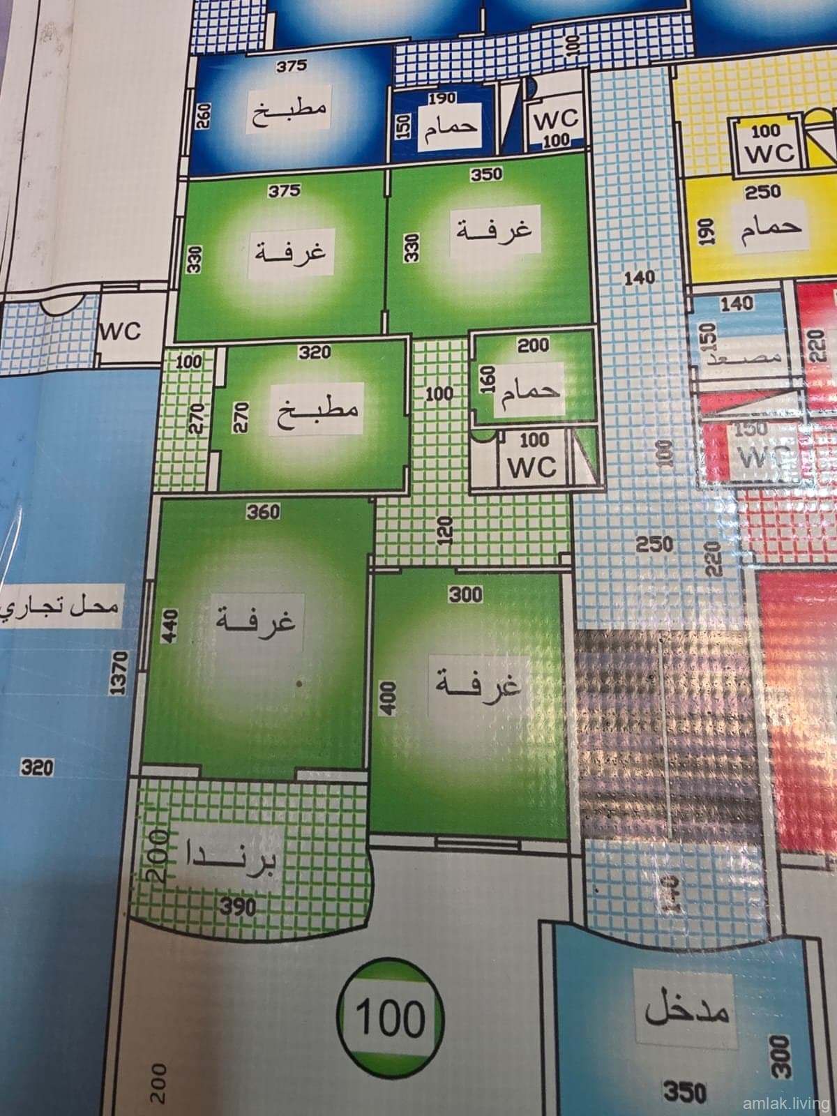 صورة 3