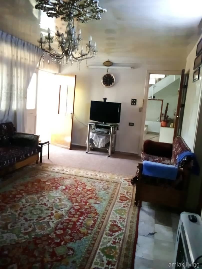 صورة 11