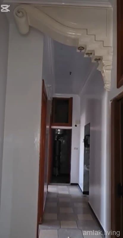 صورة 2