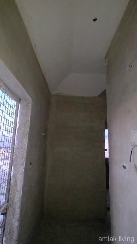 صورة 2